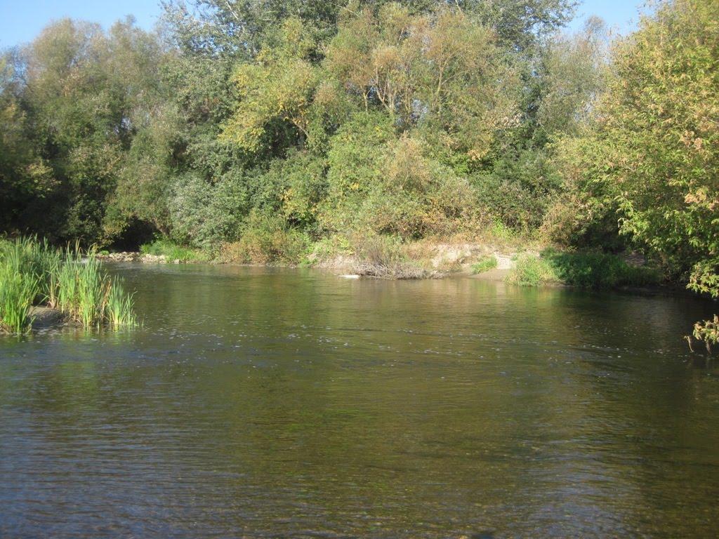 Мала Мечетня з panoramio.com - Мала Мечетня