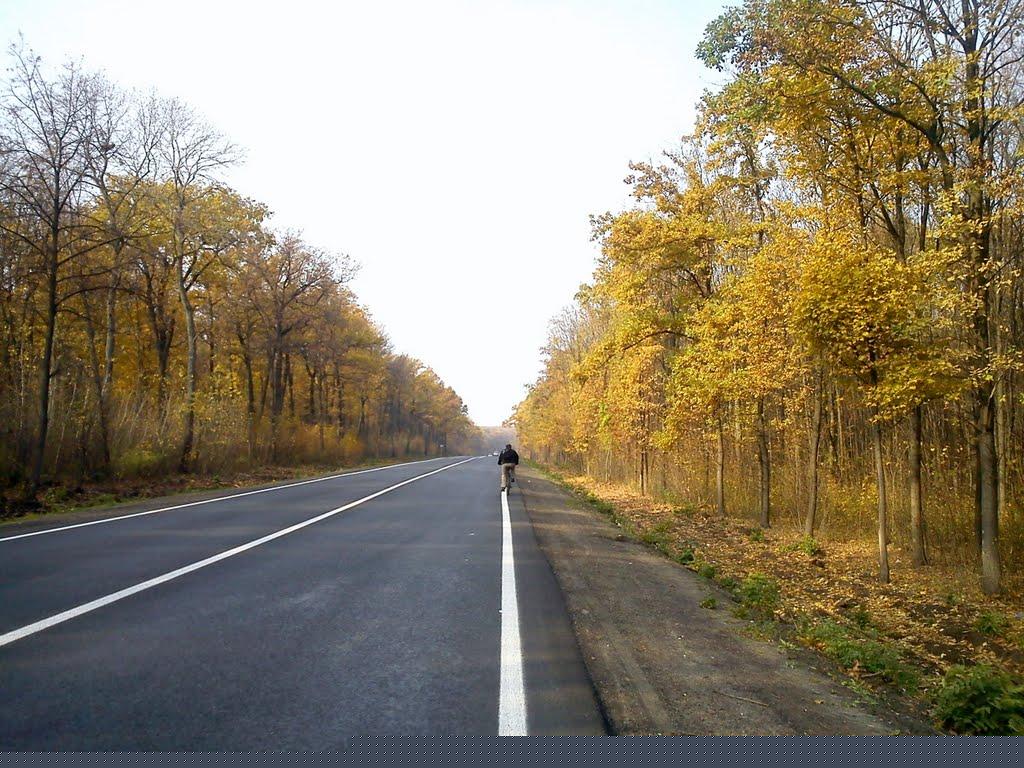 Побузьке з panoramio.com - Pobuzke