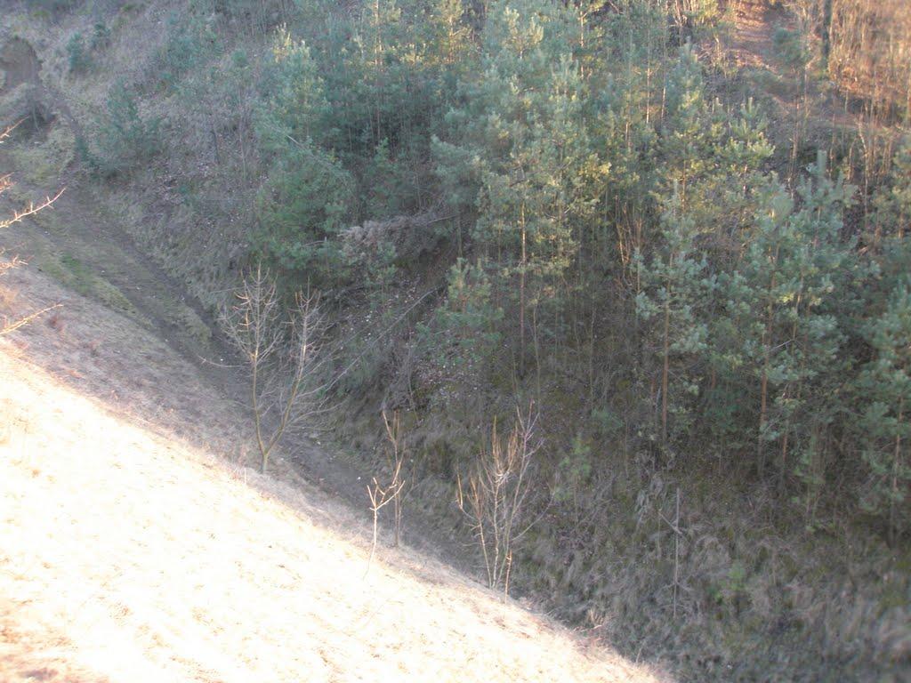 Вишгородок з panoramio.com - Вишгородок