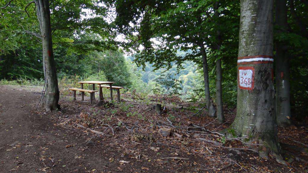 Біла Церква з panoramio.com - Біла Церква