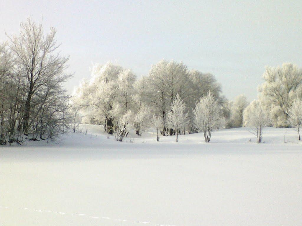 Бірки з panoramio.com - Борки