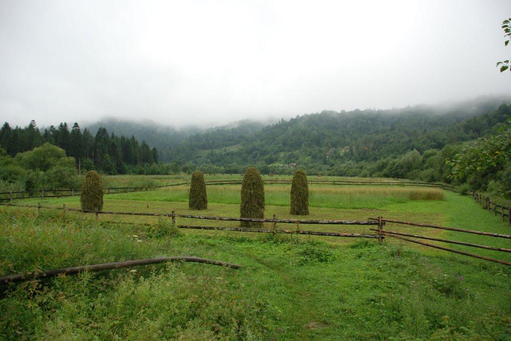 Підсухе з panoramio.com - Подсухое