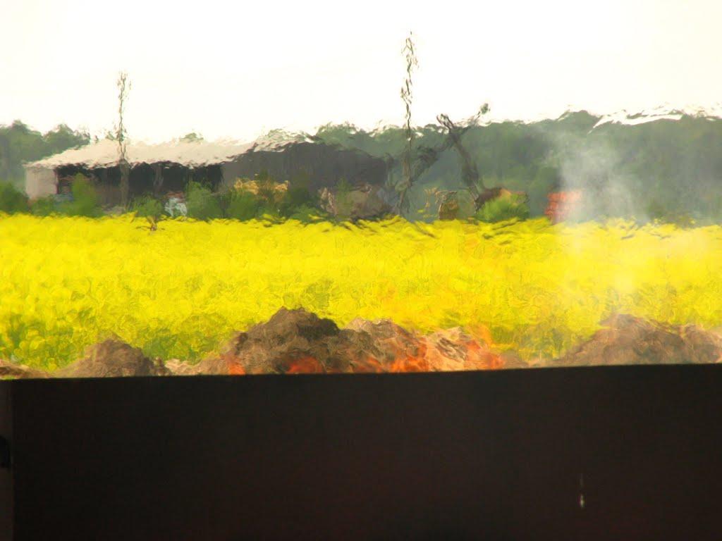 Цмівка з panoramio.com - Цмівка