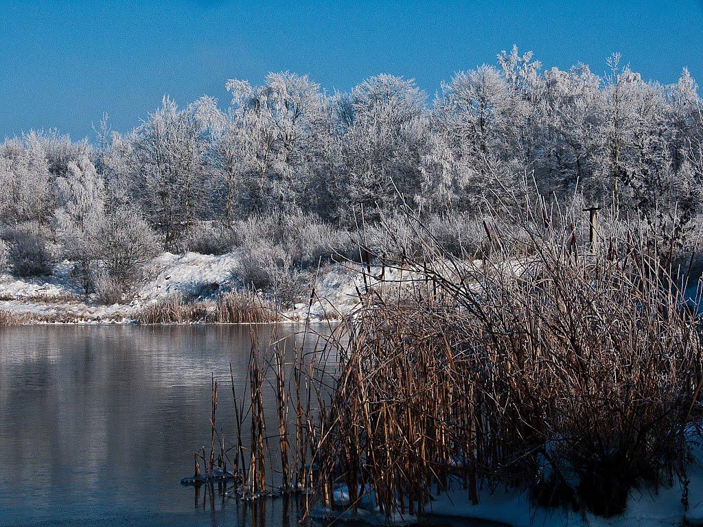 Новошини з panoramio.com - Новошини