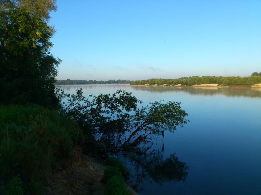 Миси з panoramio.com - Mysy