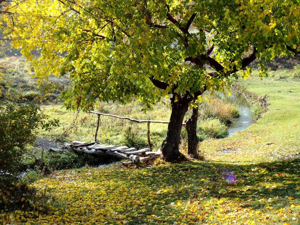 Ровеньки з panoramio.com - Ровеньки