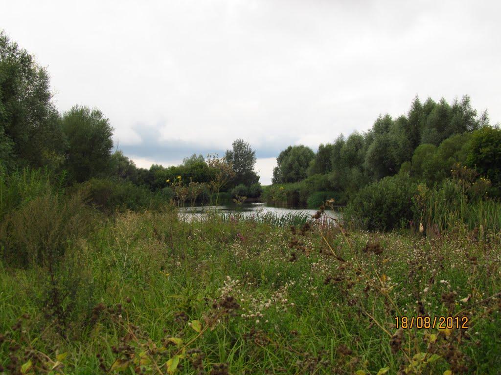 Першотравневе з panoramio.com - Першотравневе