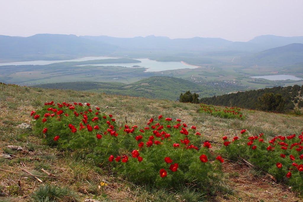 Багата Ущелина з panoramio.com - Bagata Uschelyna