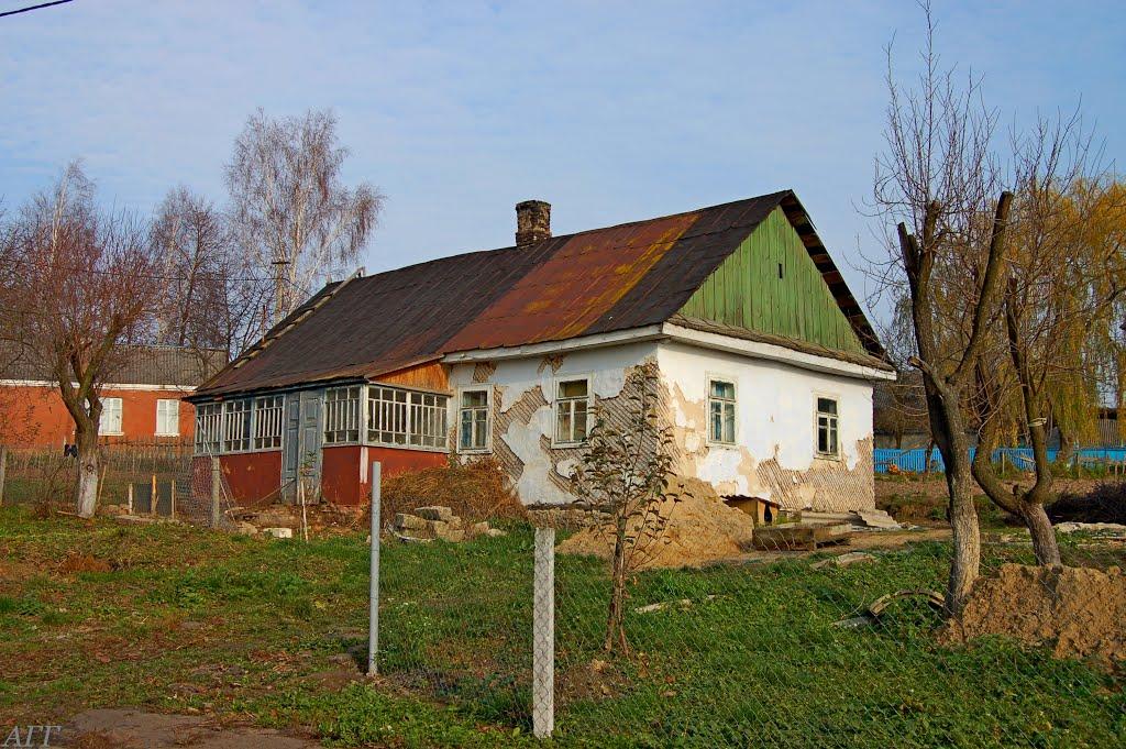 Великі Межирічі з panoramio.com - Великі Межирічі