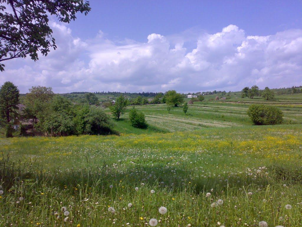 Глибока з panoramio.com - Глибока