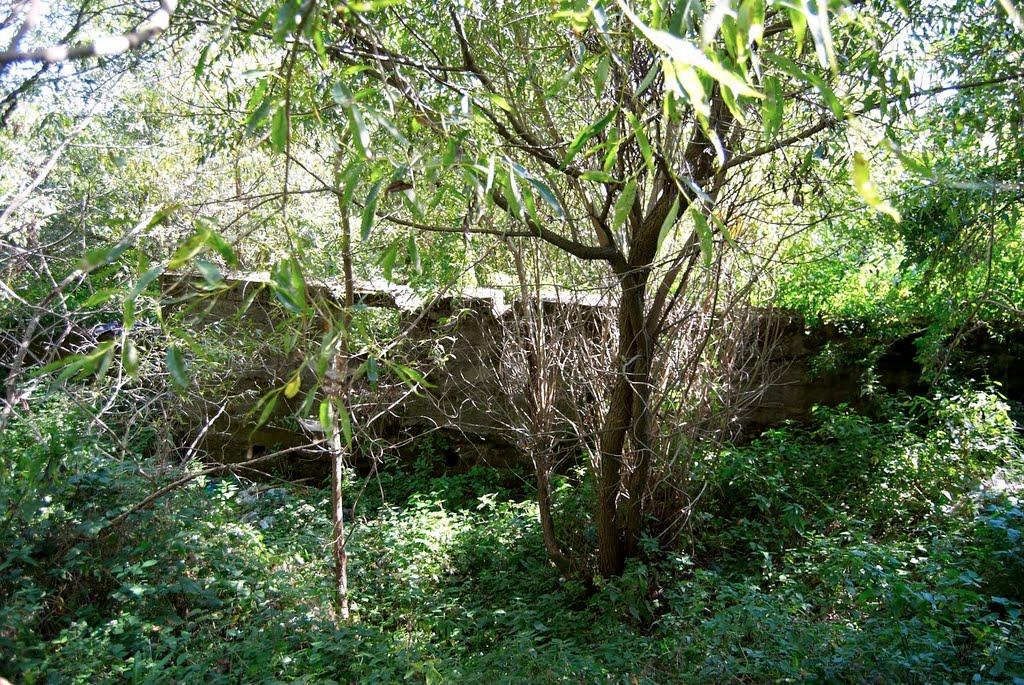 Фітьків з panoramio.com - Фітьків