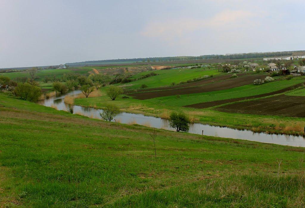 Веснянка з panoramio.com - Vesnyanka