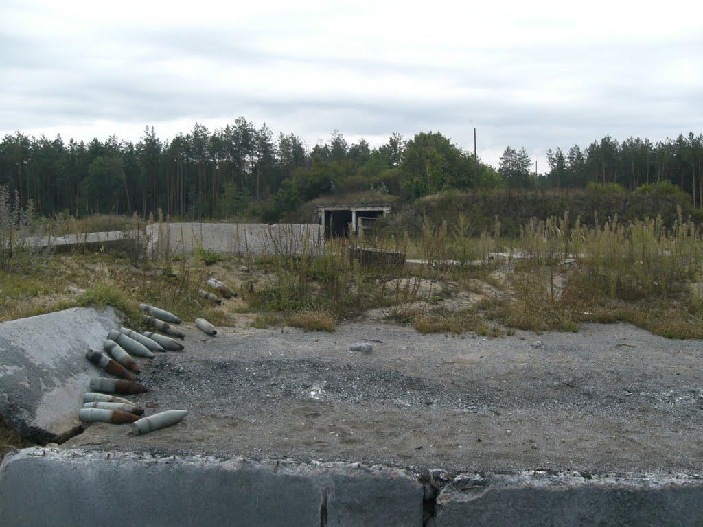 Кушкине з panoramio.com - Кушкино