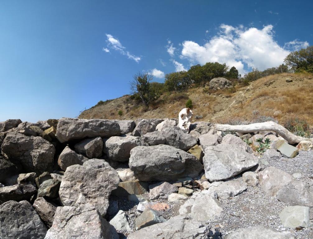 Олива з panoramio.com - Olyva