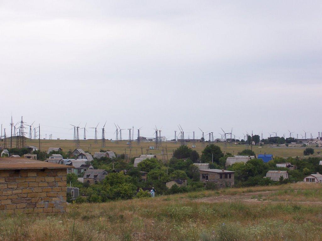 Новоозерне з panoramio.com - Новоозерне