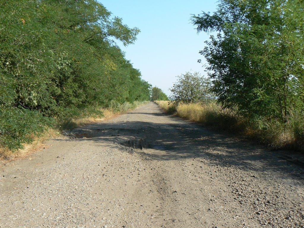 Любимівка з panoramio.com - Любимівка