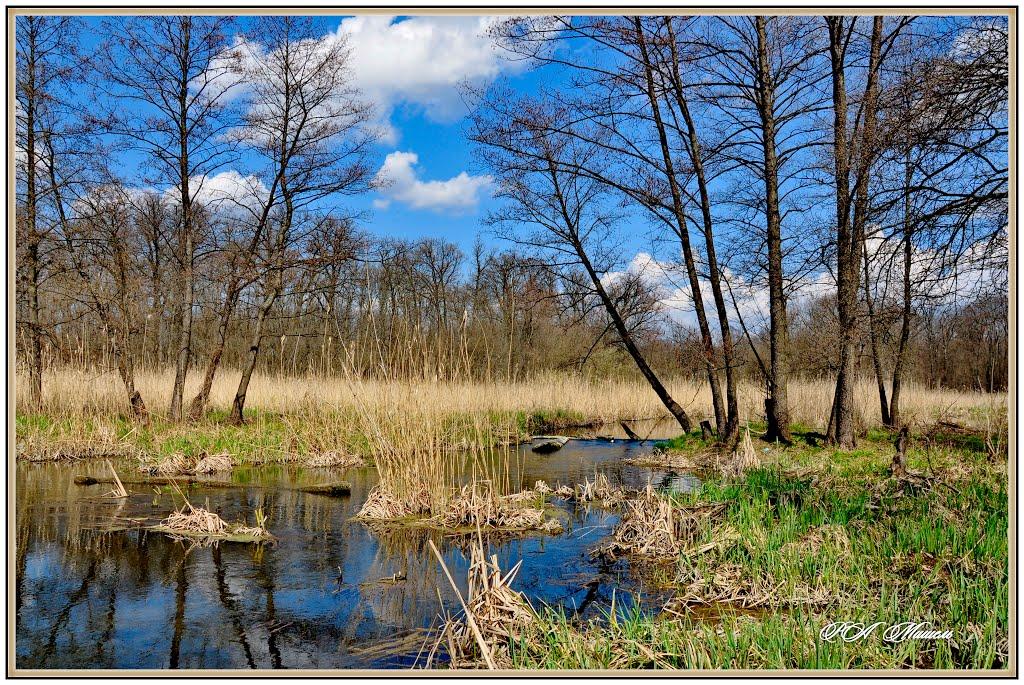 Дронівка з panoramio.com - Дронівка