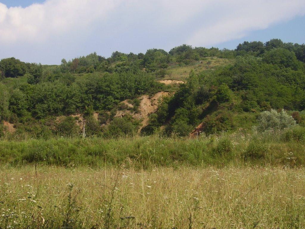 Іршава з panoramio.com - Иршава