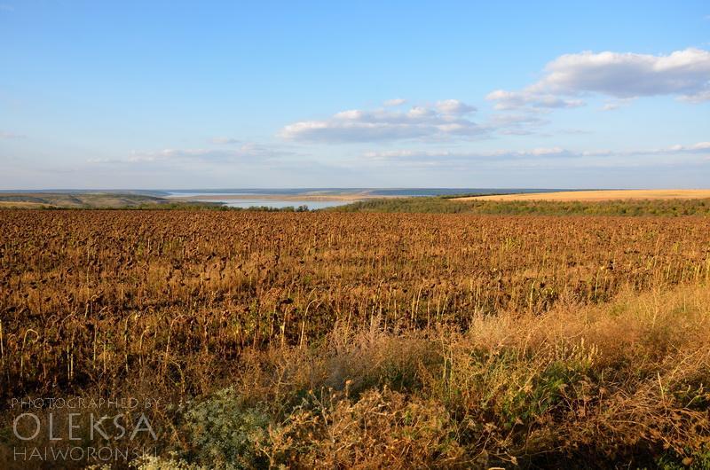 Калинівка з panoramio.com - Калиновка
