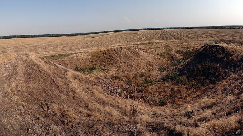 Верхній Рогачик з panoramio.com - Верхній Рогачик