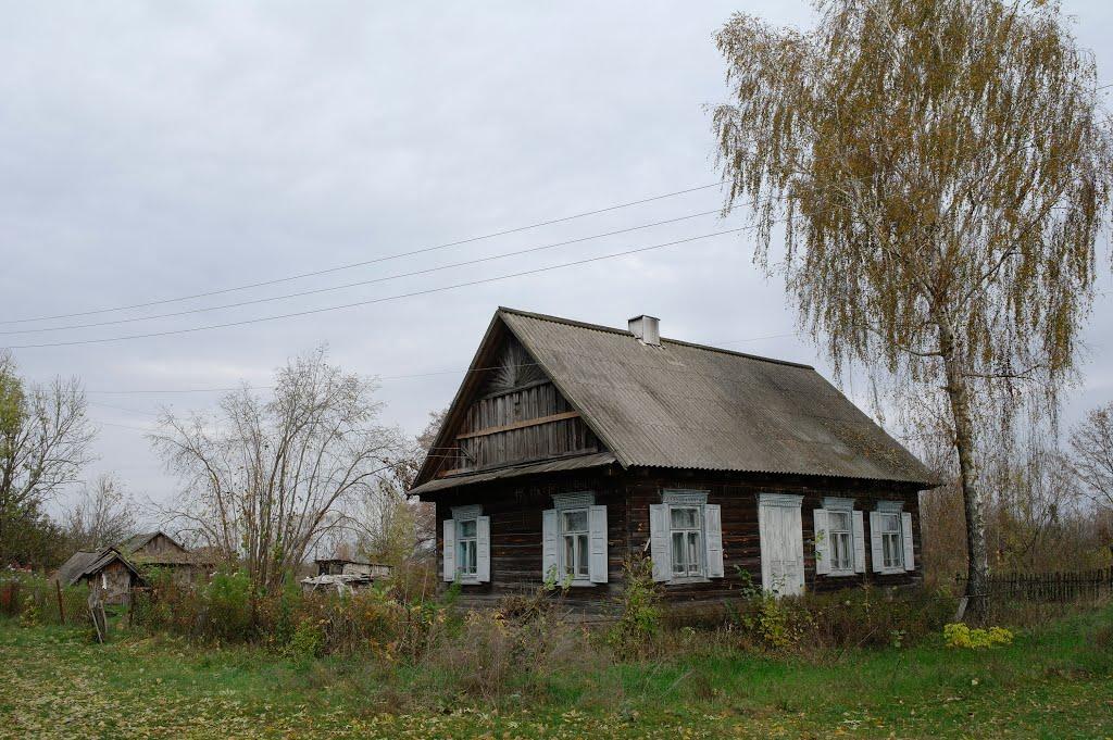 Комори з panoramio.com - Комори