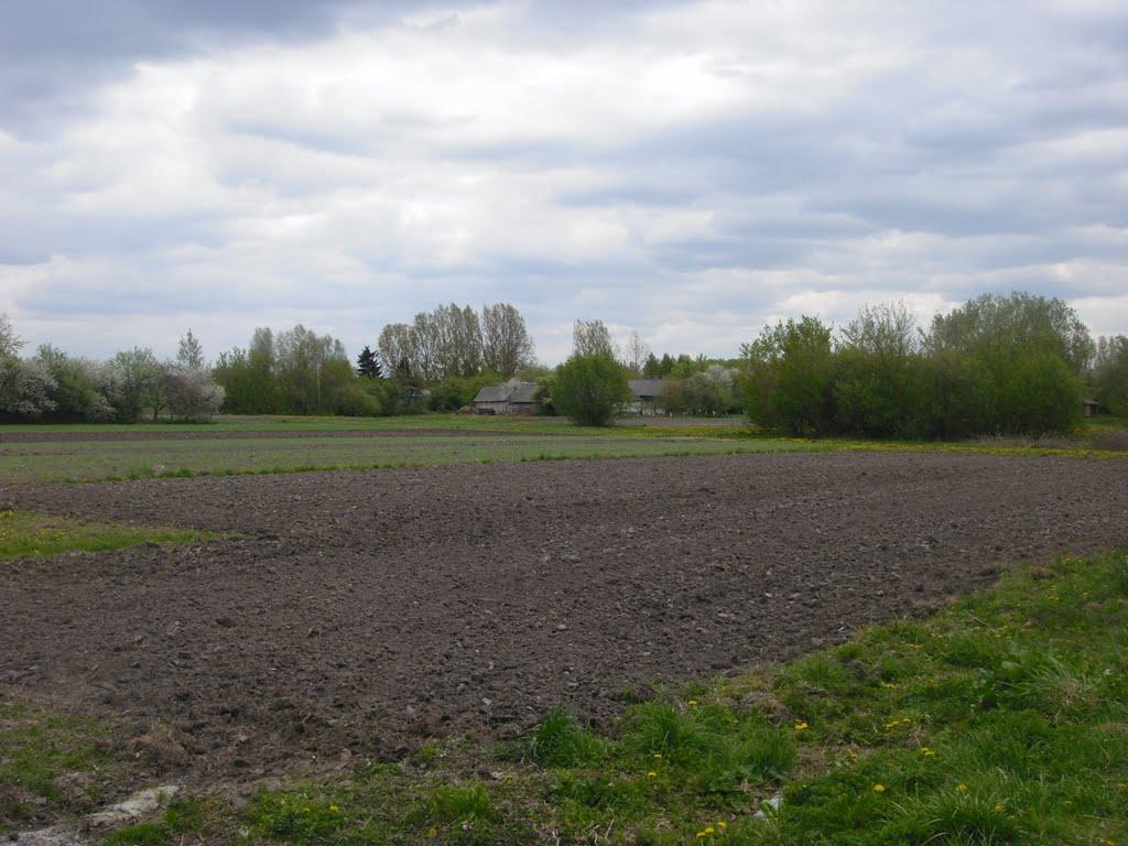 Чмикос з panoramio.com - Чмикос