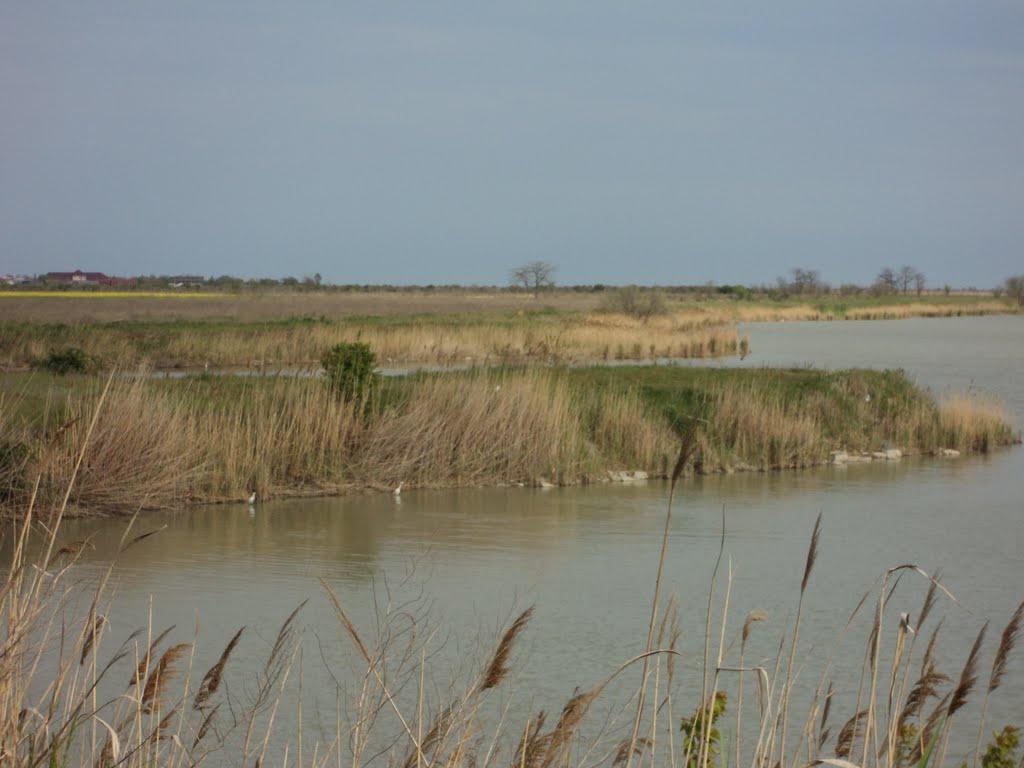 Лиман з panoramio.com - Лиман
