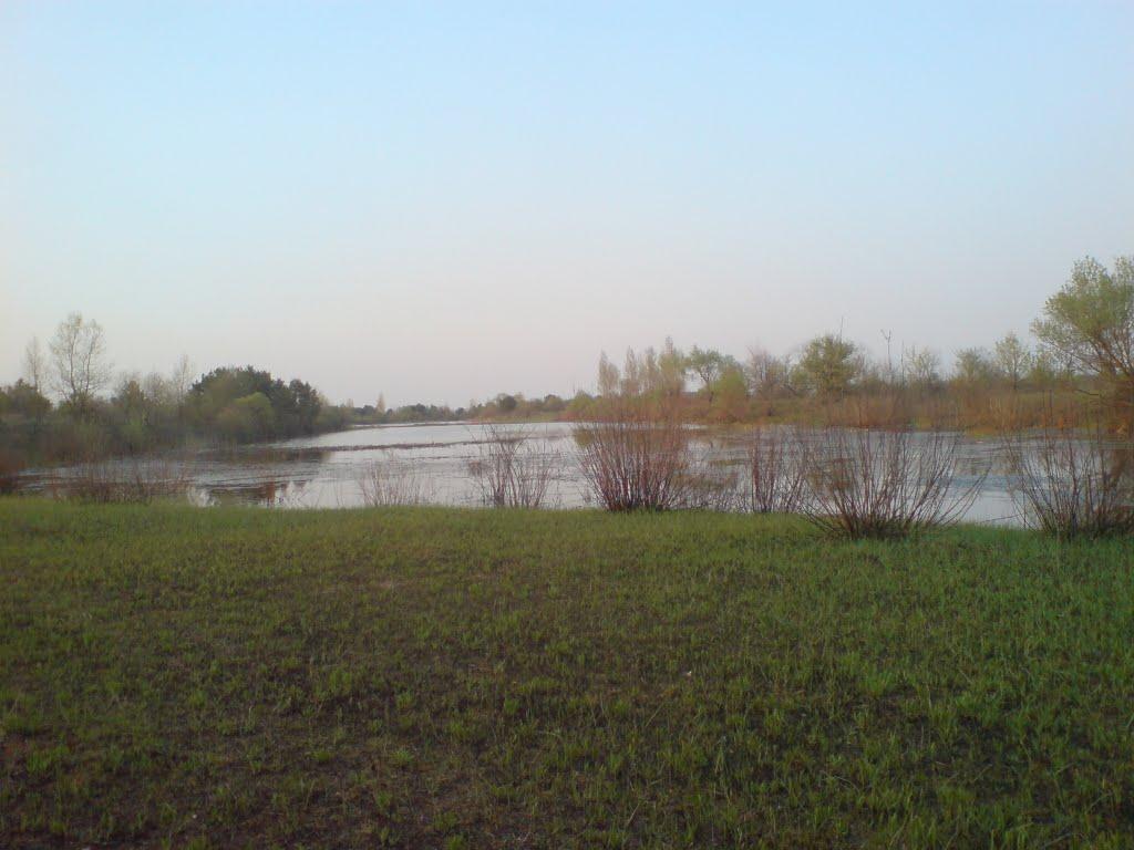 Лопатні з panoramio.com - Лопатни