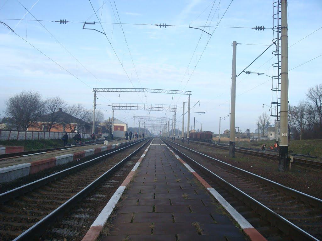 Війтівці з panoramio.com - Войтовцы