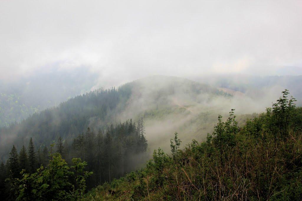 Долішній Шепіт з panoramio.com - Долішній Шепіт