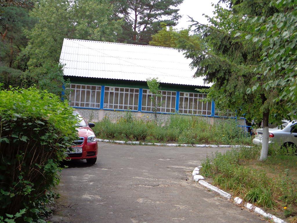 Затишшя з panoramio.com - Затишшя