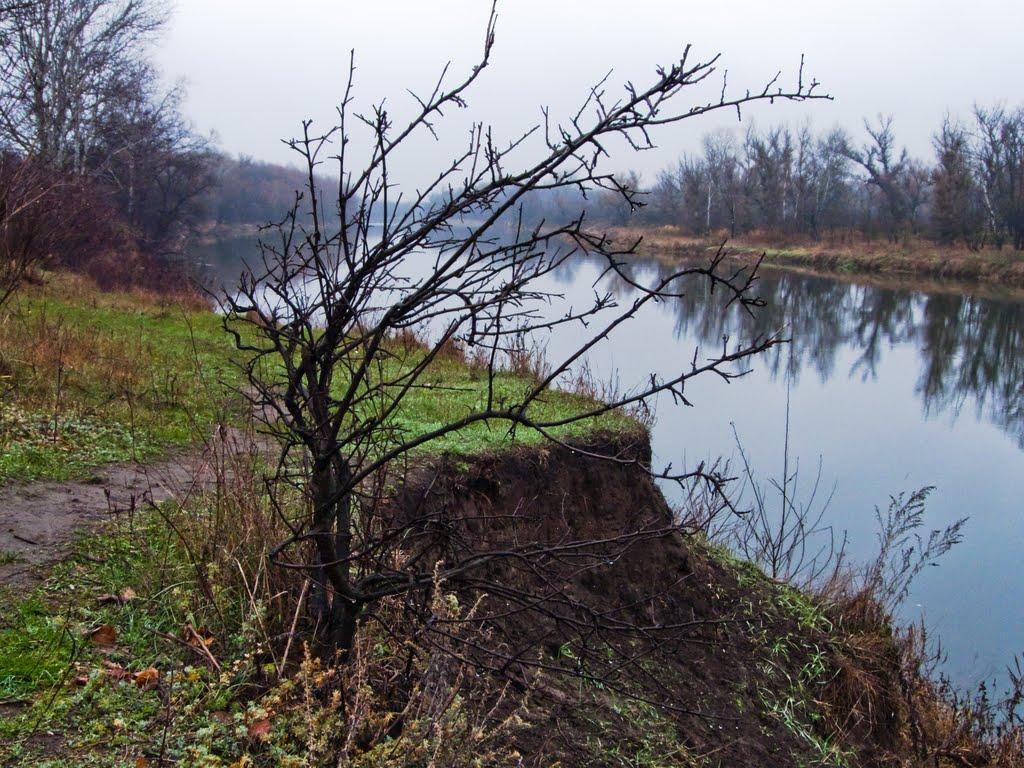 Слов'яносербськ з panoramio.com - Славяносербск