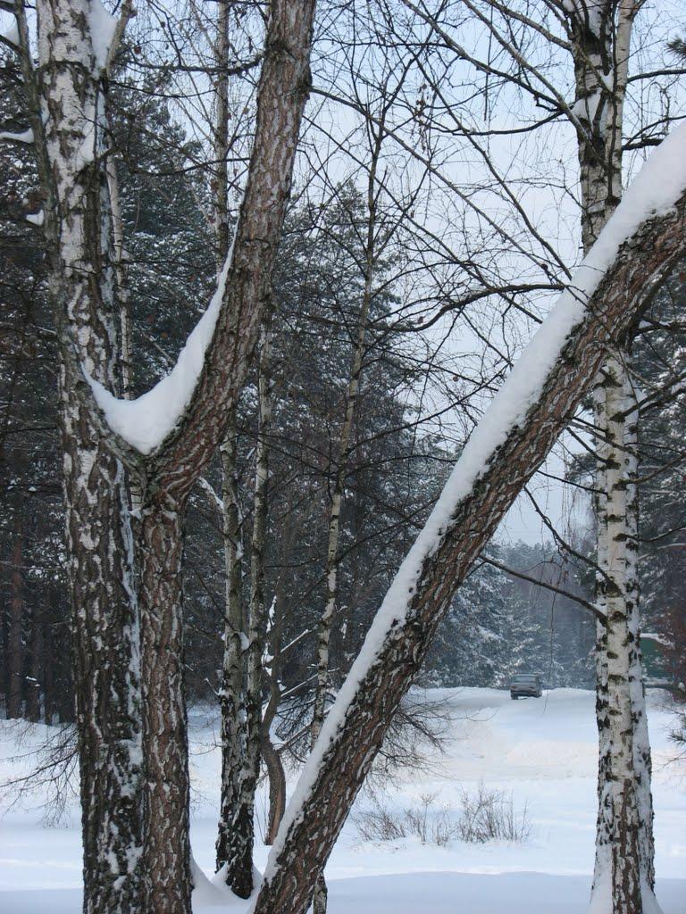 Славутич з panoramio.com - Slavutych