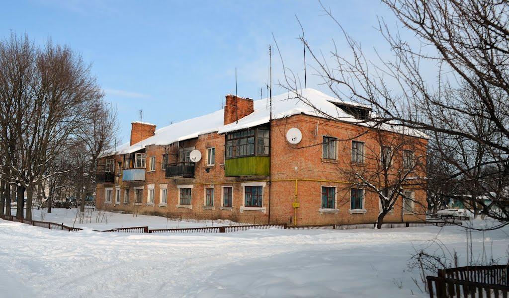 Старі Бабани з panoramio.com - Старые Бабаны