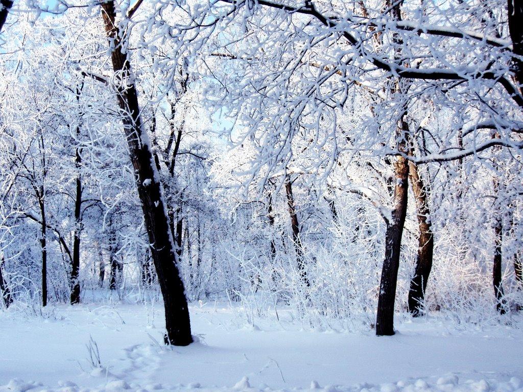 Красноармійськ з panoramio.com - Красноармейск