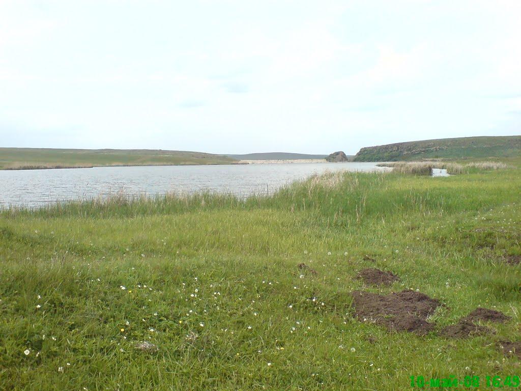 Королівка з panoramio.com - Королевка