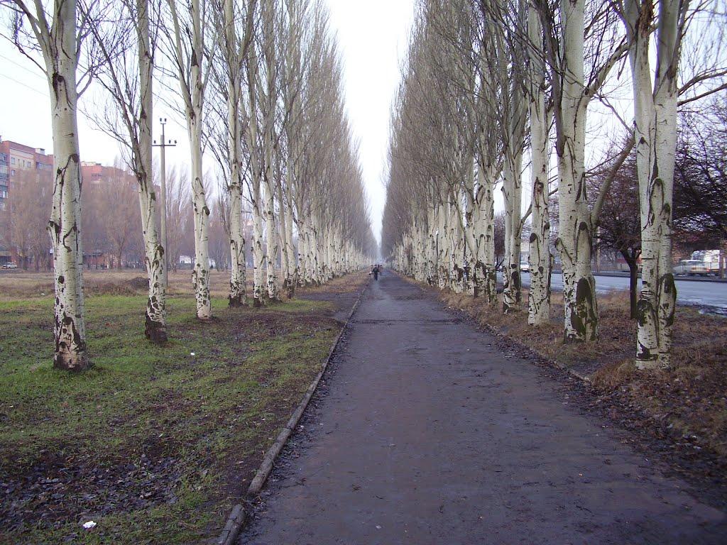 Красноармійськ з panoramio.com - Красноармійськ