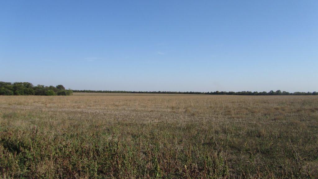 Зеленчук з panoramio.com - Зеленчук