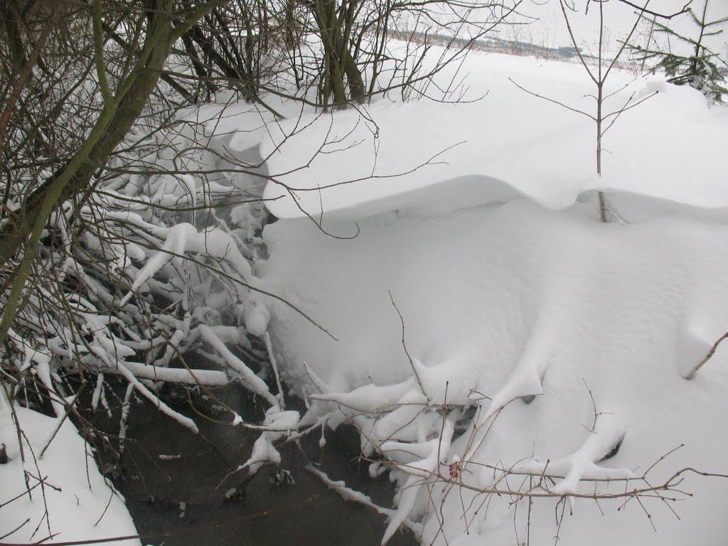 Дорогів з panoramio.com - Дорогів