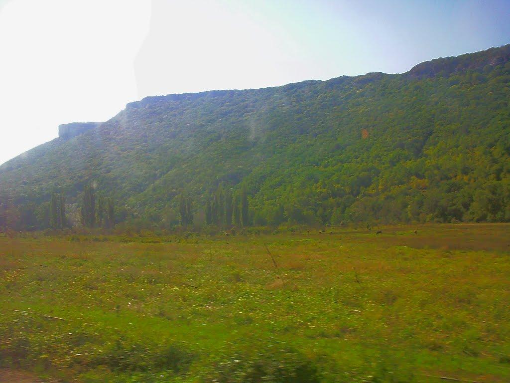 Велике Садове з panoramio.com - Velyke Sadove