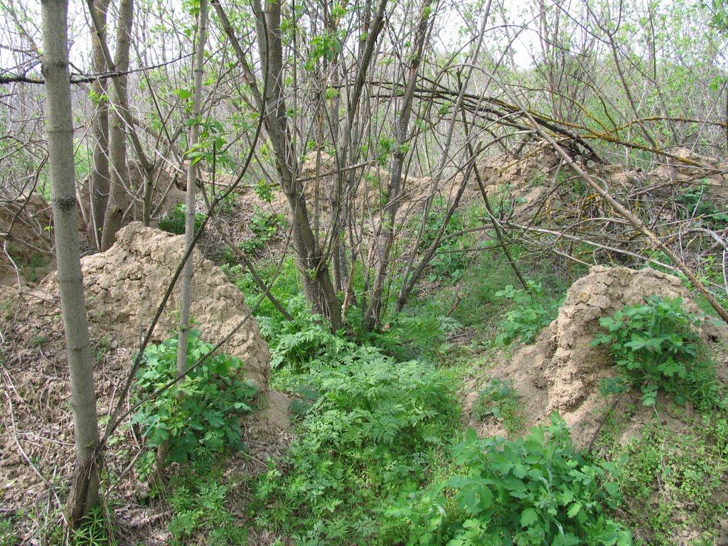 Чистопілля з panoramio.com - Чистопілля