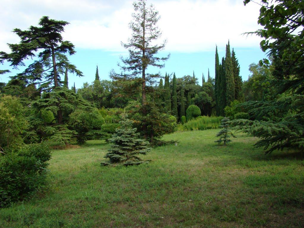 Підгородне з panoramio.com - Подгороднее