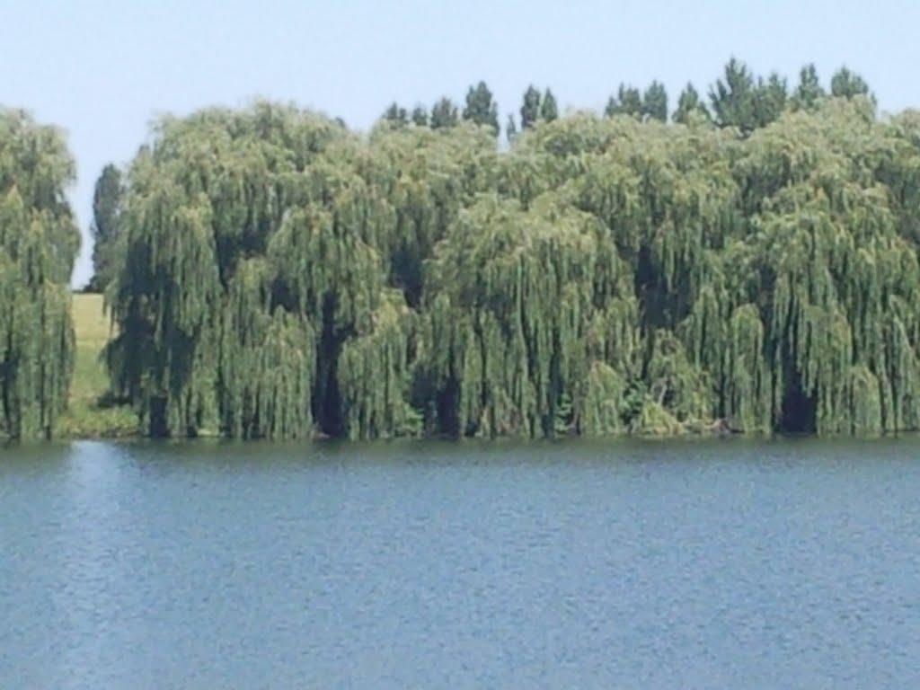 Старий Милятин з panoramio.com - Старий Милятин