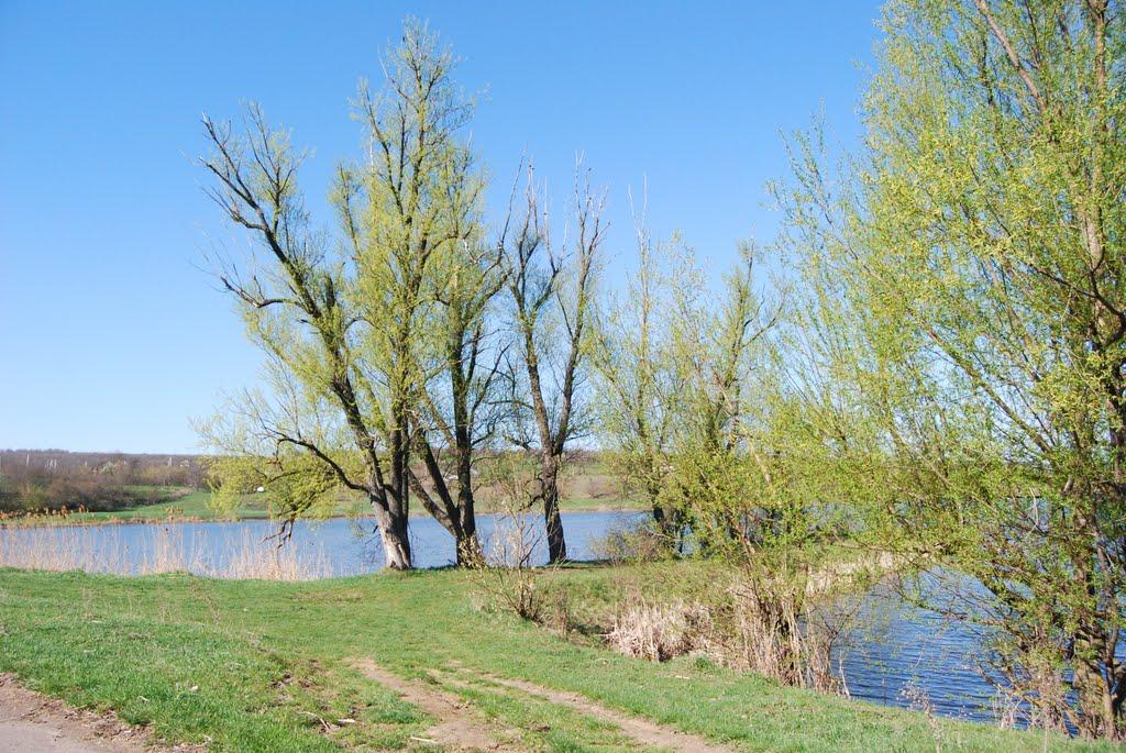 Пасицели з panoramio.com - Пасицели