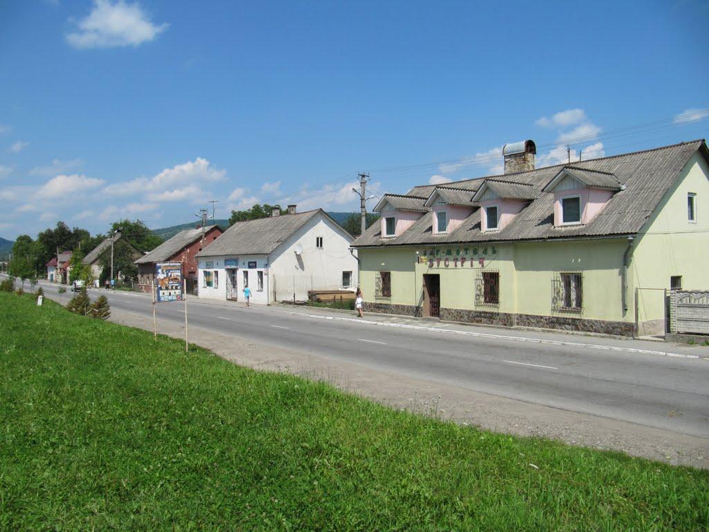 Великий Бичків з panoramio.com - Великий Бычков