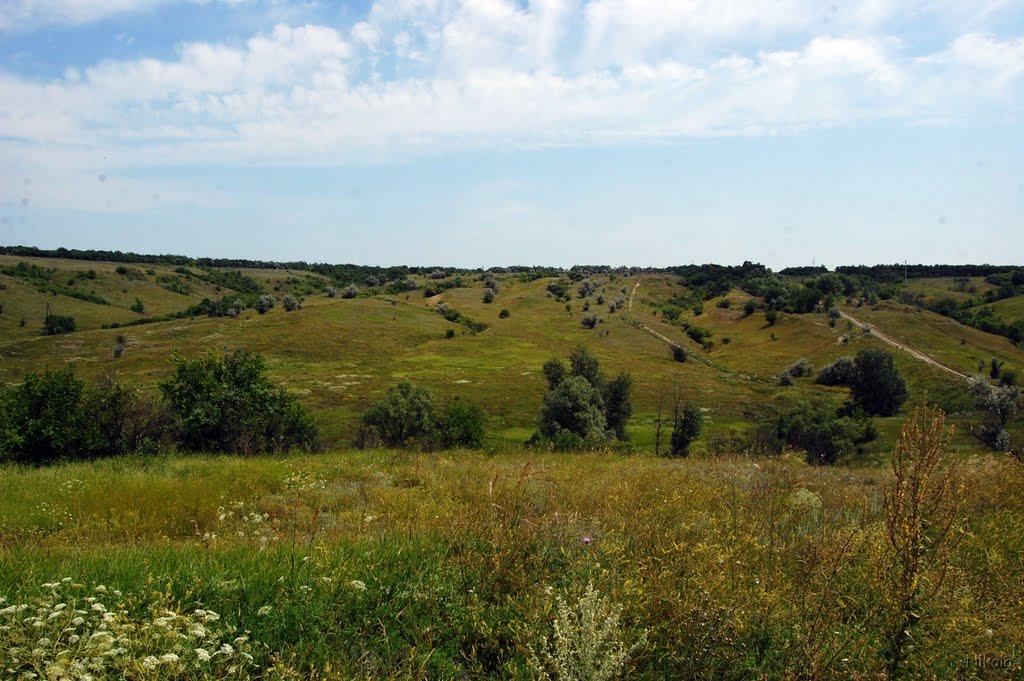 Причепилівка з panoramio.com - Причепиловка