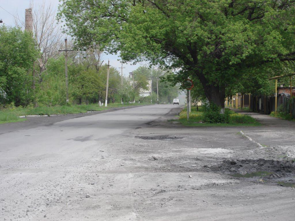 Дубівський з panoramio.com - Дубівський