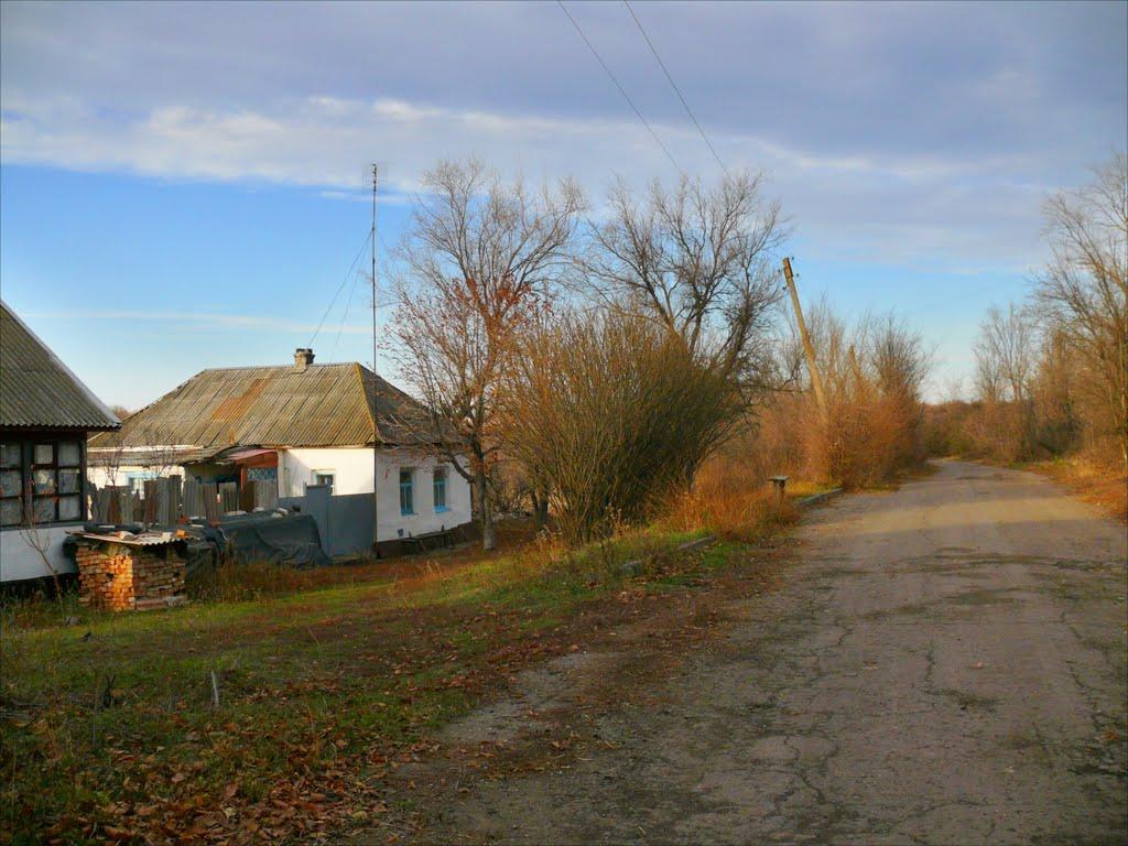 Михайлюки з panoramio.com - Михайлюки