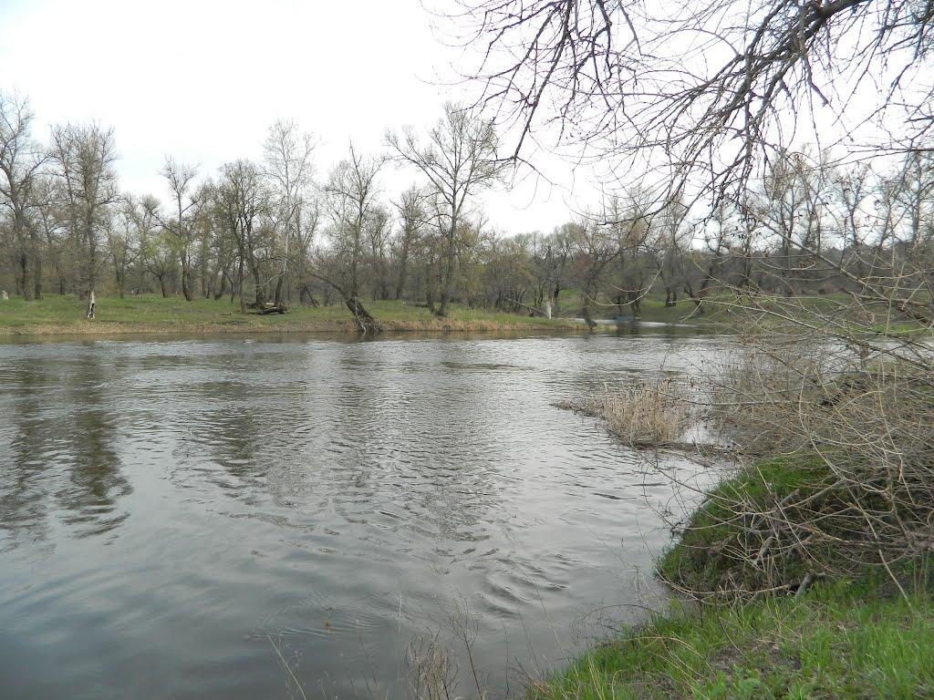 Привілля з panoramio.com - Приволье