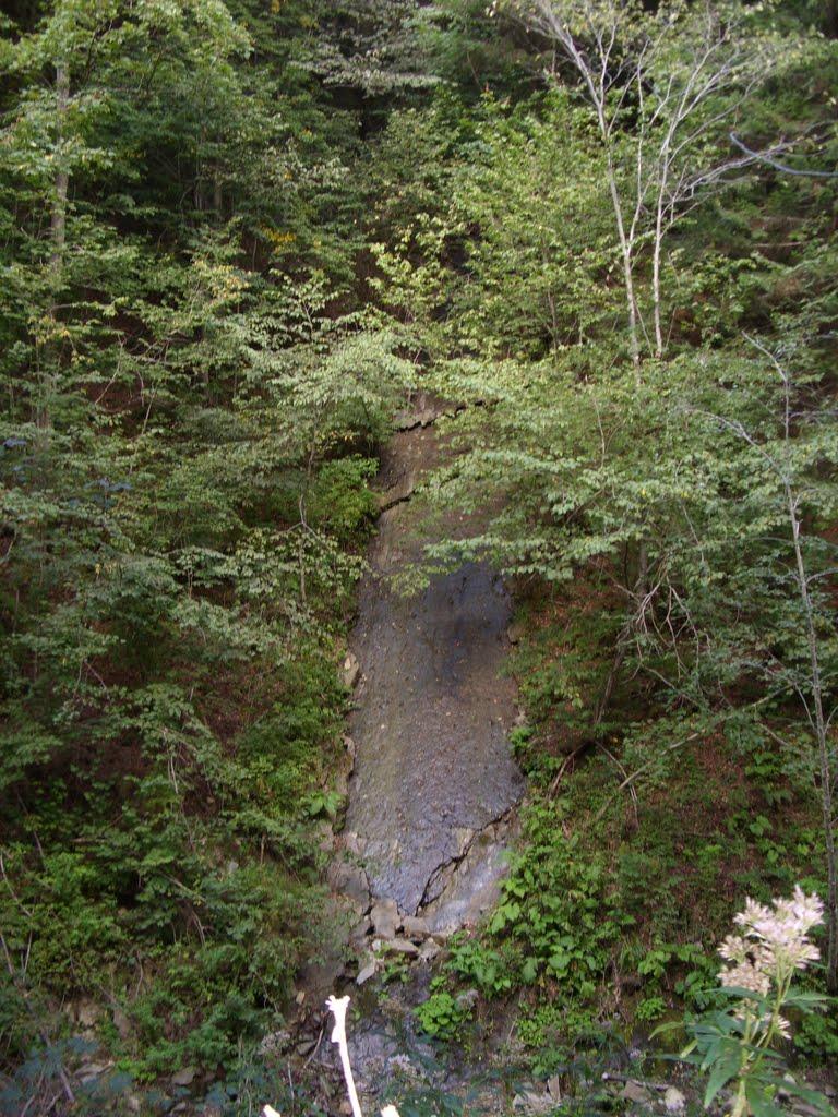 Фальків з panoramio.com (ч.2) - Фальків